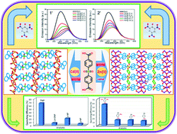 Graphical abstract: Structural studies and detection of nitroaromatics by luminescent 2D coordination polymers with angular dicarboxylate ligands