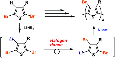 Graphical abstract: Polythiophene synthesis via halogen dance
