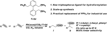 Graphical abstract: Synthesis and application of a new triphosphorus ligand for regioselective linear hydroformylation: a potential way for the stepwise replacement of PPh3 for industrial use
