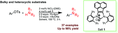 Graphical abstract: Acenaphthoimidazolium chloride-enabled nickel-catalyzed amination of bulky aryl tosylates
