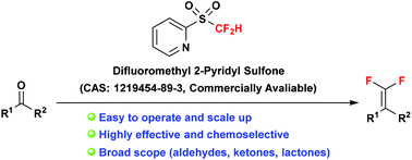 Graphical abstract: Difluoromethyl 2-pyridyl sulfone: a versatile carbonyl gem-difluoroolefination reagent