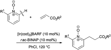 Graphical abstract: Cationic iridium-catalyzed C–H alkylation of 2-substituted pyridine N-oxides with acrylates