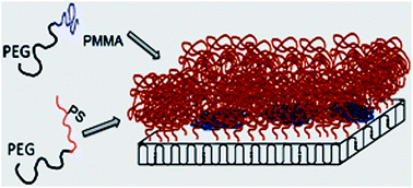 Graphical abstract: A novel approach to prepare polymer mixed-brushes via single crystal surface patterning
