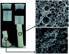 Graphical abstract: Non-aqueous high internal phase emulsion templates for synthesis of macroporous polymers in situ filled with cyclic carbonate electrolytes
