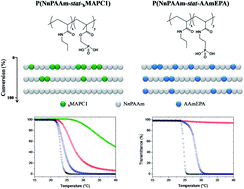 Graphical abstract: How to easily adapt cloud points of statistical thermosensitive polyacrylamide-based copolymers knowing reactivity ratios