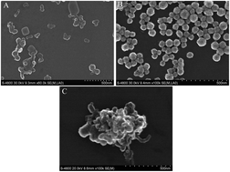Graphical abstract: A novel strategy of procalcitonin detection based on multi-nanomaterials of single-walled carbon nanohorns–hollow Pt nanospheres/PAMAM as signal tags