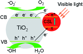 Graphical abstract: Celastrol-modified TiO2 nanoparticles: effects of celastrol on the particle size and visible-light photocatalytic activity