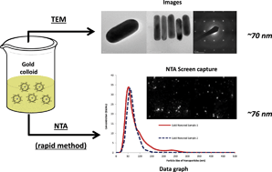 Graphical abstract: Nanoparticle tracking analysis of gold nanomaterials stabilized by various capping agents