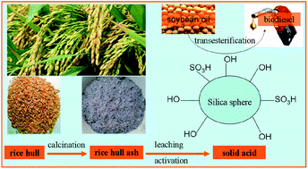 Graphical abstract: A nano-sized solid acid synthesized from rice hull ash for biodiesel production