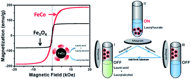 Graphical abstract: Solvothermal synthesis of FeCo nanoparticles for magneto-controllable biocatalysis