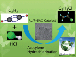 Graphical abstract: Phosphorus-doped carbon supports enhance gold-based catalysts for acetylene hydrochlorination