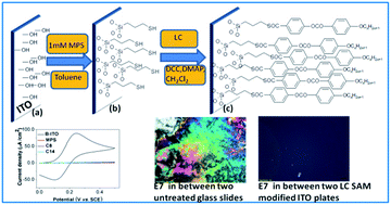 Graphical abstract: Liquid crystal (LC) monolayer on Indium Tin Oxide (ITO): structural and electrochemical characterization