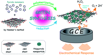 Graphical abstract: Green synthesis of reduced graphene oxide/nanopolypyrrole composite: characterization and H2O2 determination in urine