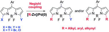 Graphical abstract: Negishi reaction in BODIPY dyes. Unprecedented alkylation by palladium-catalyzed C–C coupling in boron dipyrromethene derivatives