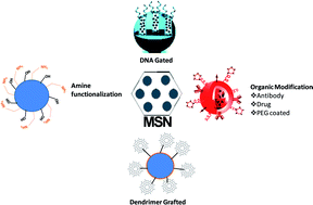 Graphical abstract: Mesoporous silica nanoparticles: importance of surface modifications and its role in drug delivery