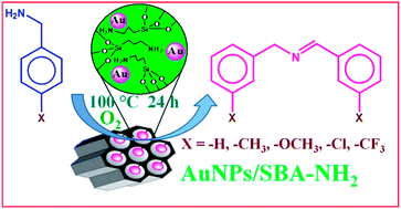 Graphical abstract: Oxidative coupling of primary amines to imines under base-free and additive-free conditions over AuNPs/SBA-NH2 nanocatalyst