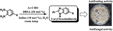 Graphical abstract: Construction and screening of 2-aryl benzimidazole library identifies a new antifouling and antifungal agent