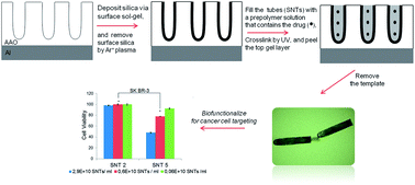 Graphical abstract: Fabrication and modification of composite silica nano test tubes for targeted drug delivery
