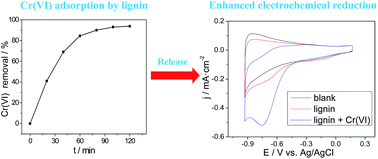 Graphical abstract: Integrated lignin-mediated adsorption-release process and electrochemical reduction for the removal of trace Cr(vi)