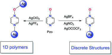 Graphical abstract: Anion dependent silver(i) complexes of pyrazine mono-N-oxide