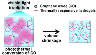 Graphical abstract: Remote control of volume phase transition of hydrogels containing graphene oxide by visible light irradiation