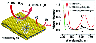 Graphical abstract: Hemin-functionalized MoS2 nanosheets: enhanced peroxidase-like catalytic activity with a steady state in aqueous solution