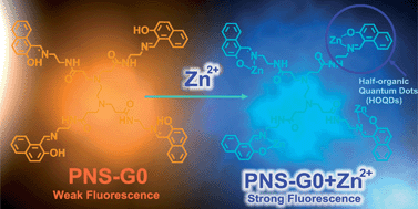 Graphical abstract: High selectivity up-converted fluorescence turn-on probe for Zn2+ based on PAMAM hydroxy-naphthalene Schiff-bases (C [[double bond, length as m-dash]] N) half-organic quantum dots