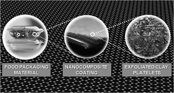 Graphical abstract: Nanocomposite films and coatings using inorganic nanobuilding blocks (NBB): current applications and future opportunities in the food packaging sector