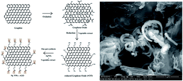 Graphical abstract: Green synthesis of self assembled silver nanowire decorated reduced graphene oxide for efficient nitroarene reduction