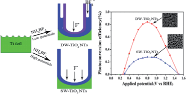 Graphical abstract: Double-walled TiO2 nanotubes prepared with NH4BF4 based electrolyte and their photoelectrochemical performance