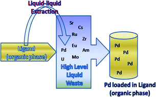 Graphical abstract: Separation of palladium from high level liquid waste – A review