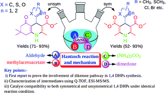 Graphical abstract: Multicomponent diversity-oriented synthesis of symmetrical and unsymmetrical 1,4-dihydropyridines in recyclable glycine nitrate (GlyNO3) ionic liquid: a mechanistic insight using Q-TOF, ESI-MS/MS