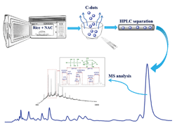Graphical abstract: Green synthesis of fluorescent nitrogen/sulfur-doped carbon dots and investigation of their properties by HPLC coupled with mass spectrometry