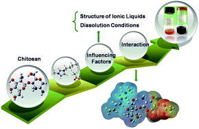 Graphical abstract: The dissolution behaviour of chitosan in acetate-based ionic liquids and their interactions: from experimental evidence to density functional theory analysis