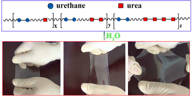 Graphical abstract: Mechanically strong and stretchable polyurethane–urea supramolecular hydrogel using water as an additional in situ chain extender