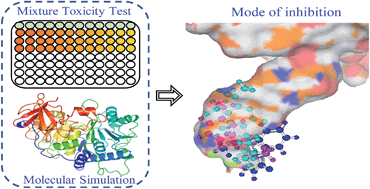 Graphical abstract: Predicting the mixture effects of three pesticides by integrating molecular simulation with concentration addition modeling