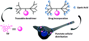 Graphical abstract: Design and synthesis of multifunctional traceable dendrimers for visualizing drug delivery