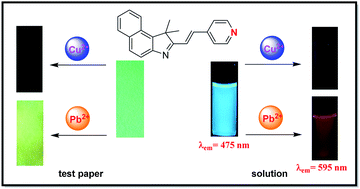 Graphical abstract: A new fluorescent probe based on styrylcyanine dye containing pyridine: dissimilar fluorescent response to Cu2+ and Pb2+