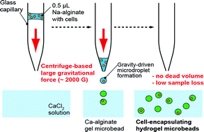 Graphical abstract: Centrifuge-based cell encapsulation in hydrogel microbeads using sub-microliter sample solution