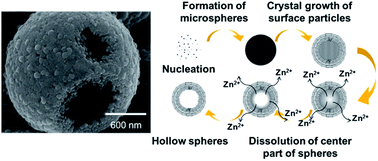 Graphical abstract: Template-free solvothermal preparation of ZnO hollow microspheres covered with c planes