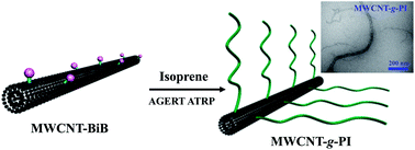 Graphical abstract: Synthesis and characterization of MWCNT-graft-polyisoprene via ARGET ATRP