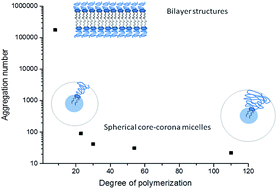 Graphical abstract: Nanostructures by self-assembly of polyglycidol-derivatized lipids