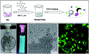 Graphical abstract: Luminescence tunable fluorescent organic nanoparticles from polyethyleneimine and maltose: facile preparation and bioimaging applications