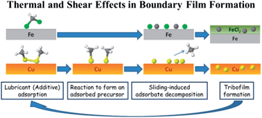 Graphical abstract: Shear and thermal effects in boundary film formation during sliding