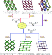 Graphical abstract: Coordination assemblies of the MII-tm/bpt (M = Zn/Cd/Co/Ni) mixed-ligand system: positional isomeric effect, structural diversification and properties