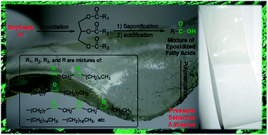 Graphical abstract: Pressure-sensitive adhesives based on soybean fatty acids