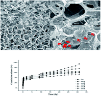 Graphical abstract: Controlled drug release from a novel drug carrier of calcium polyphosphate/chitosan/aldehyde alginate scaffolds containing chitosan microspheres