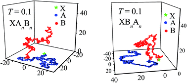 Graphical abstract: Simulation of conformational properties of end-grafted diblock copolymers