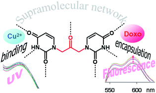 Graphical abstract: Synthesis and supramolecular assembly of 1,3-bis(1′-uracilyl)-2-propanone
