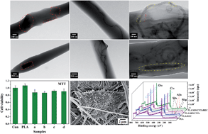 Graphical abstract: Characterization and cytotoxicity study of nanofibrous mats incorporating rectorite and carbon nanotubes